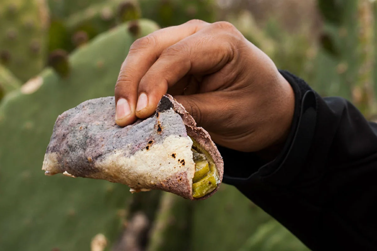 Emblemáticos ingredientes mexicanos en Milpa Alta