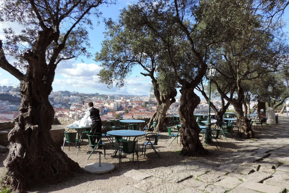 ¿Dónde comer en Lisboa?