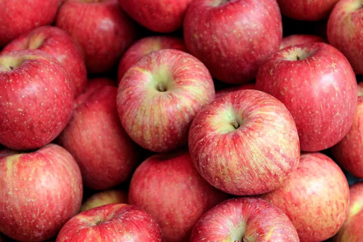 4 maneras de mantener tus manzanas frescas durante más tiempo