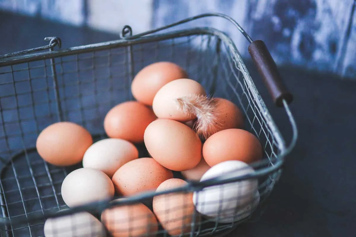 ¿Conoces las diferencias entre el huevo doméstico y el de granja?