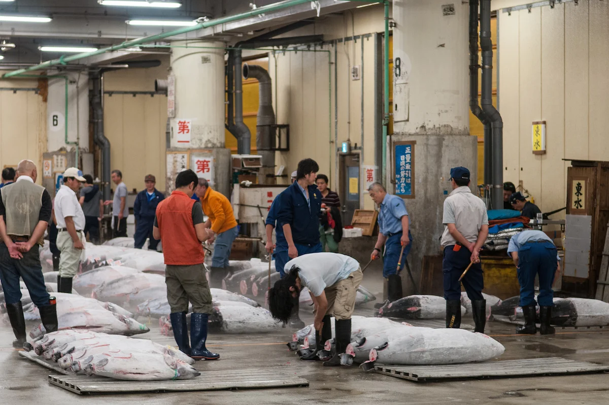 Toyosu, el nuevo mercado de pescado de Tokio abre sus puertas