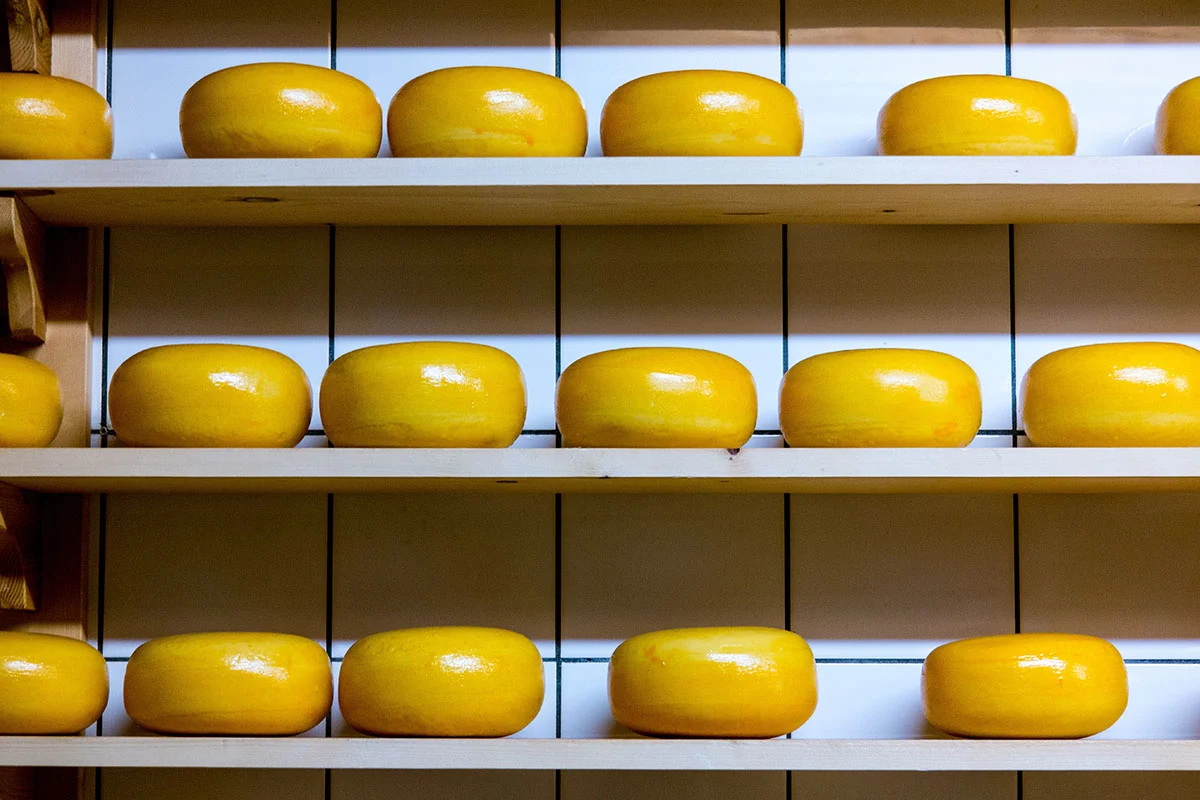 Hay 5 quesos mexicanos reconocidos por los World Cheese Awards 2018