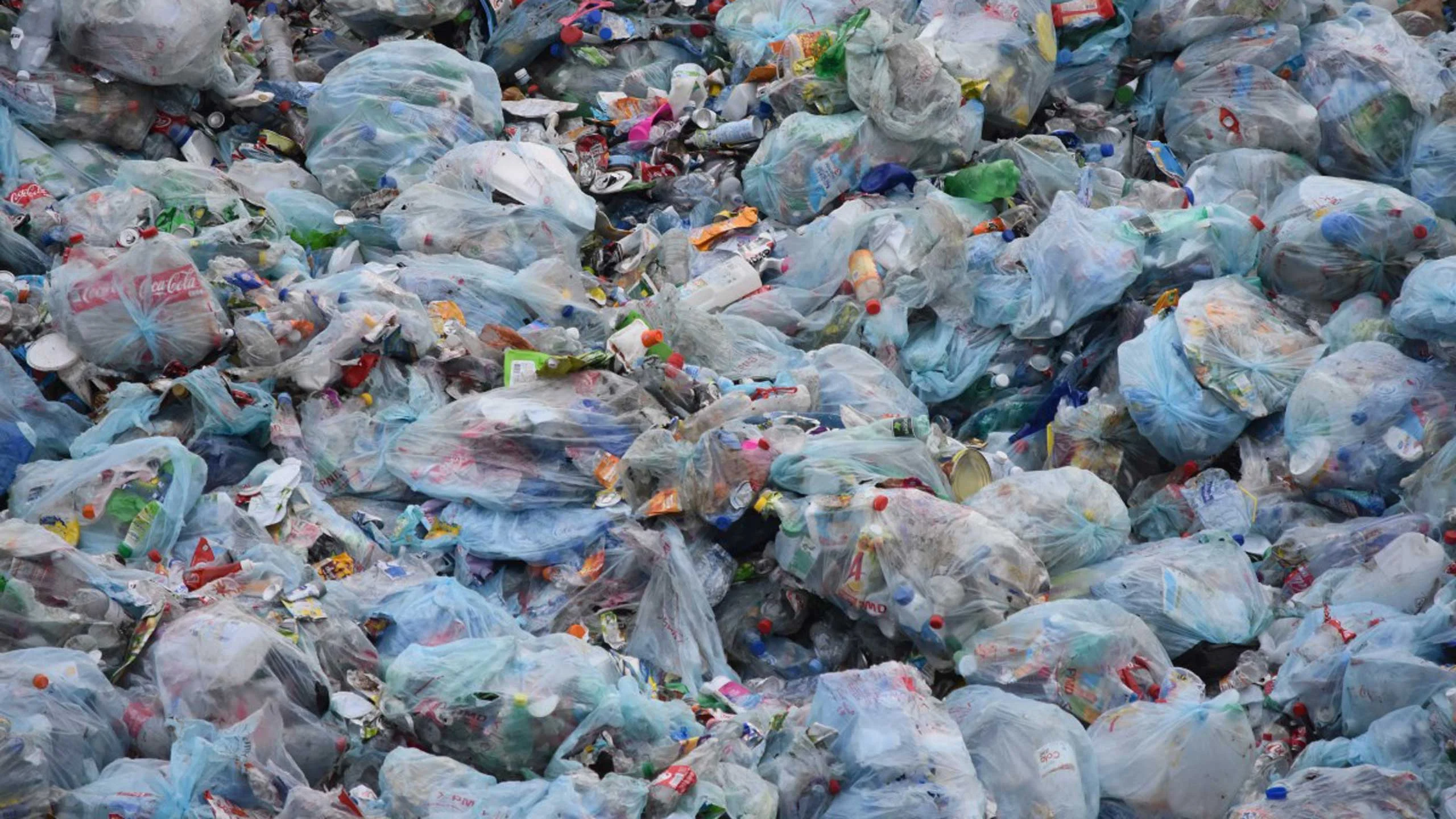 Estas iniciativas buscan disminuir el uso de envolturas de plástico