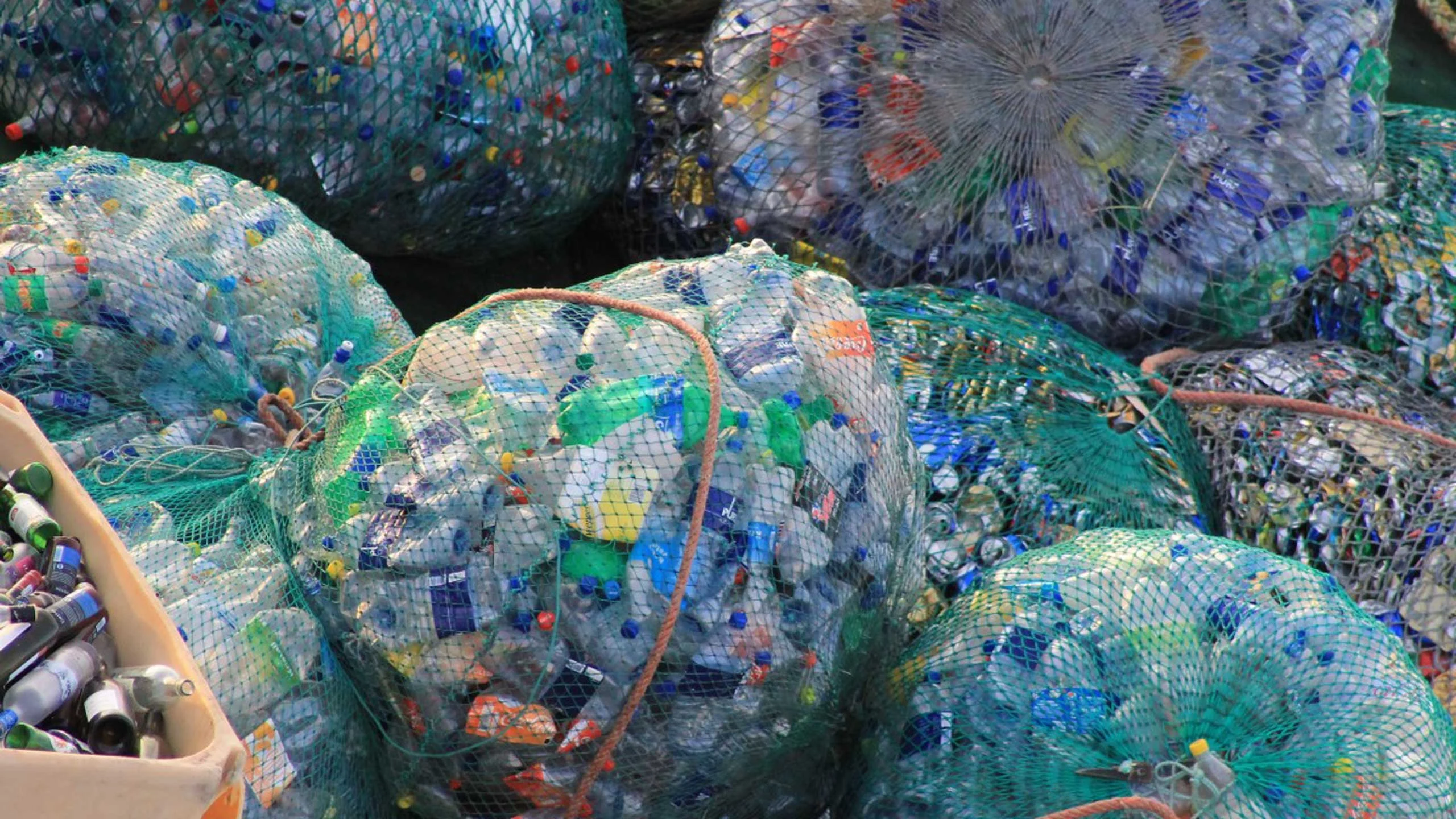 Estos son los esfuerzos que se han hecho en México para eliminar el plástico