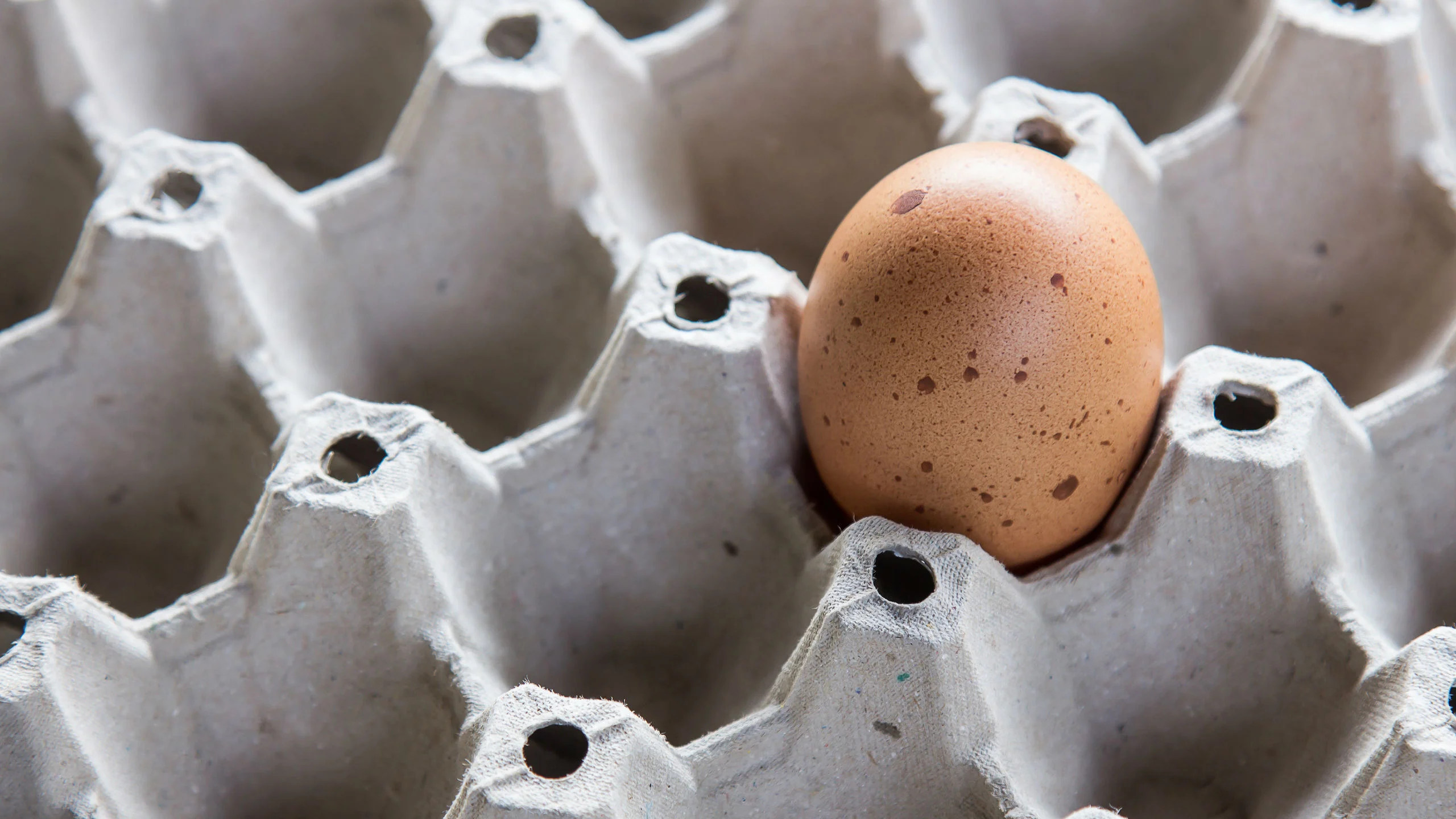 Estos son los nuevos usos del huevo en la gastronomía