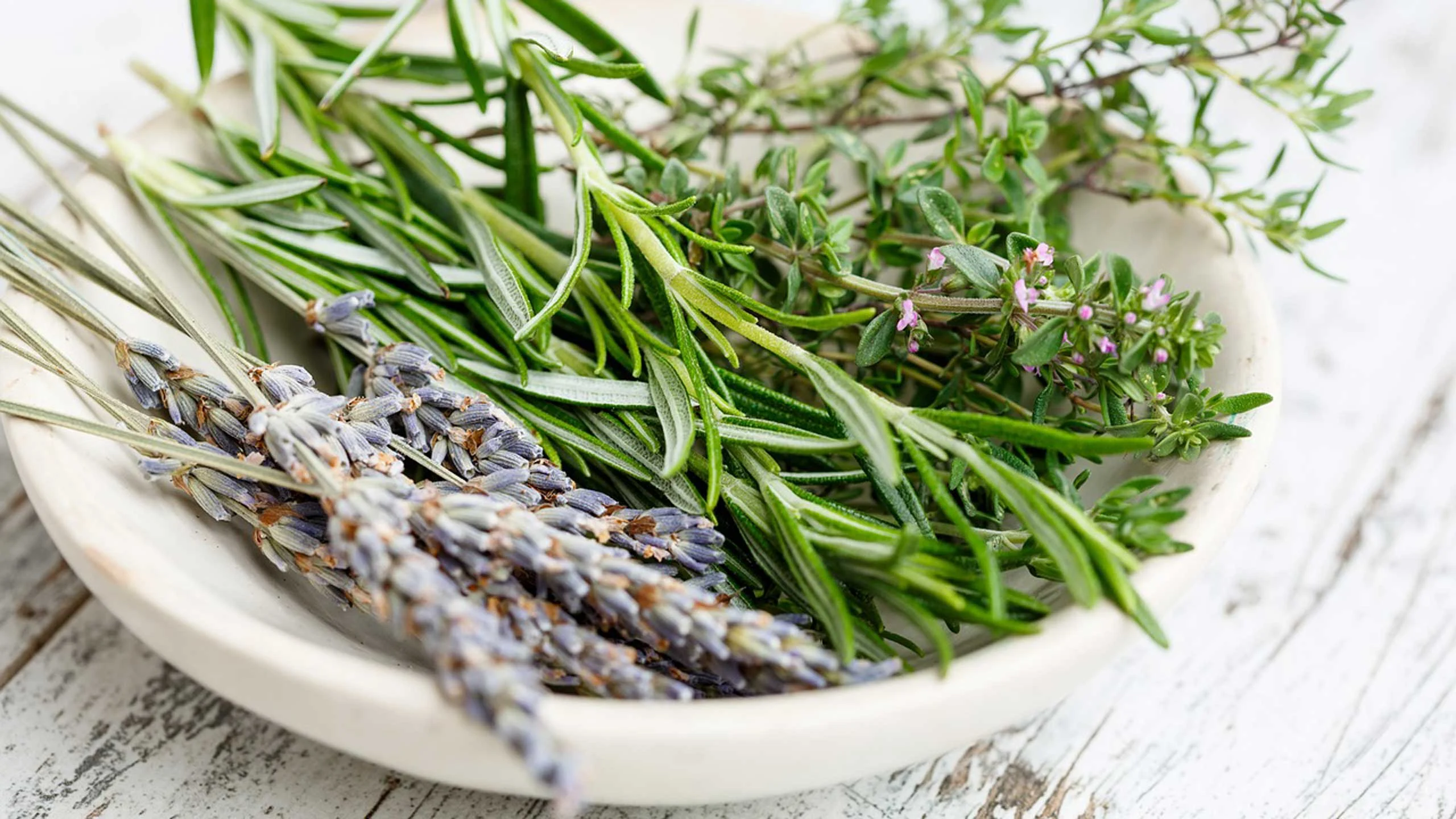 5 hierbas aromáticas que necesitas en tu alacena