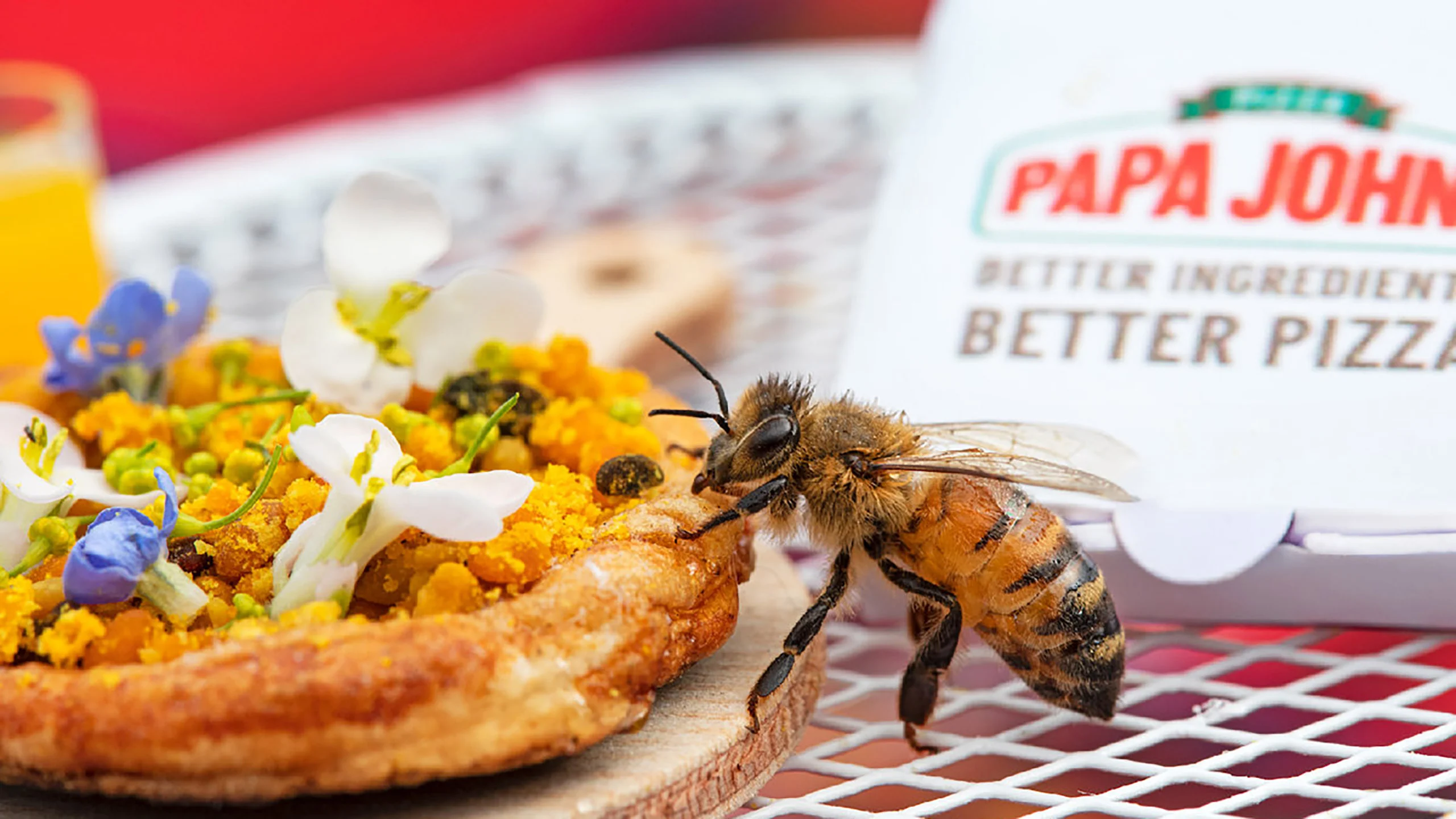 Papa John’s creó una pequeña pizza para las abejas
