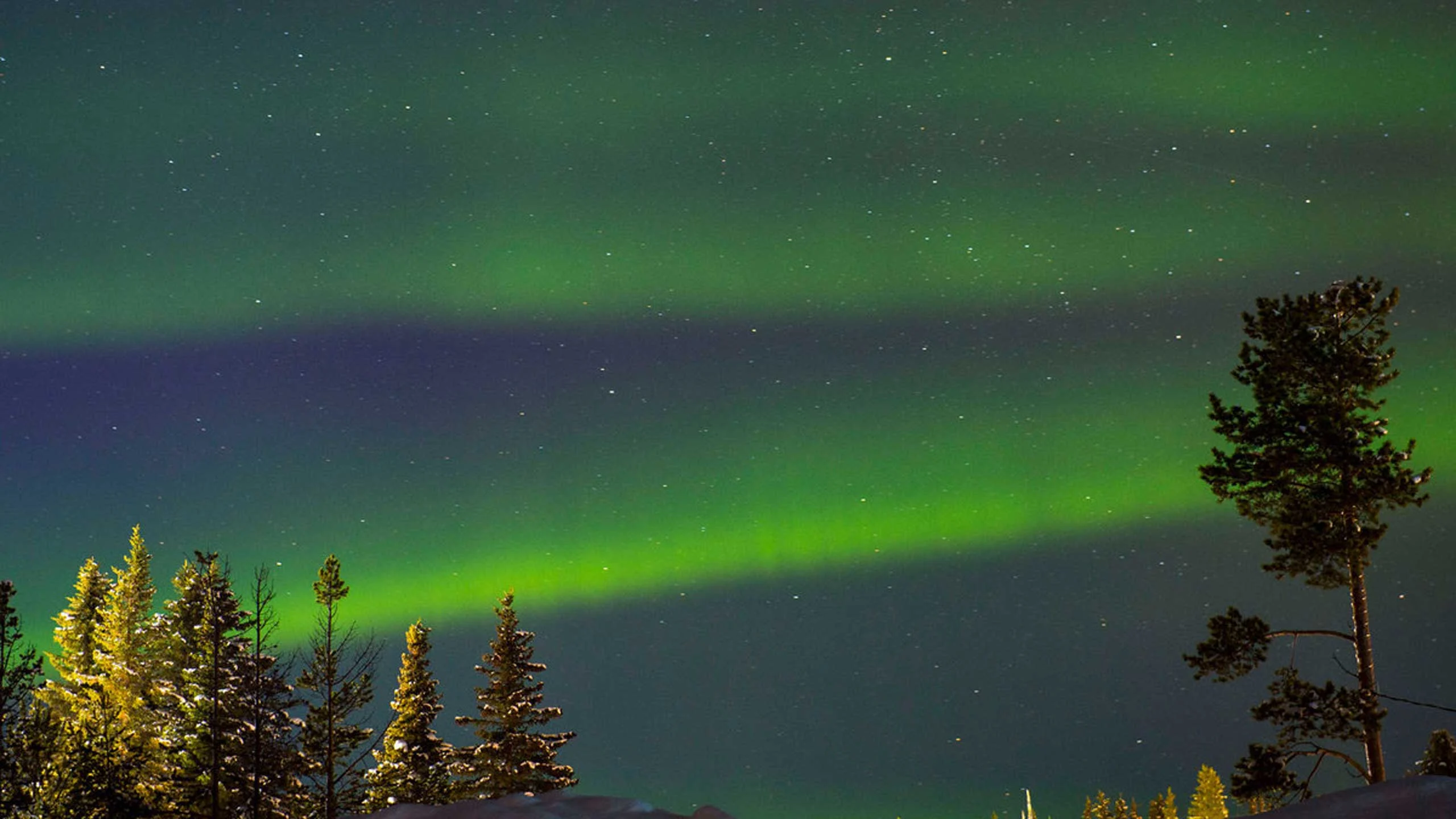Este hotel y restaurante flotante ofrece impresionantes vistas de las auroras boreales