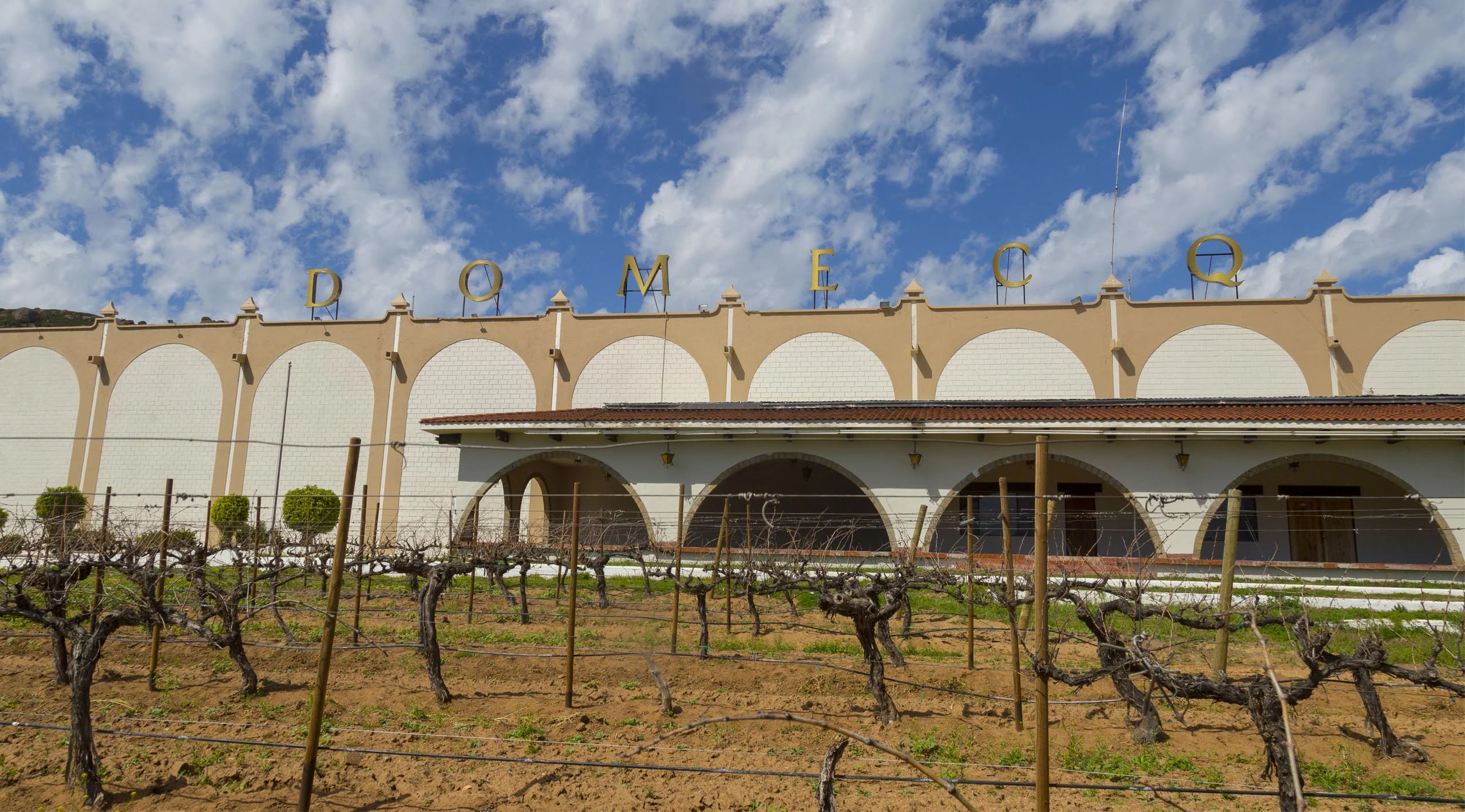 Domecq: 5 décadas de historia vinícola presentes en Food&Wine Festival
