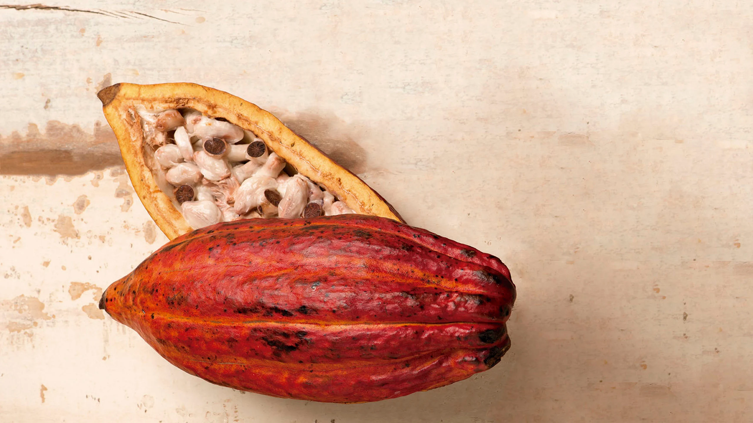 Mucílago, la parte más olvidada del cacao