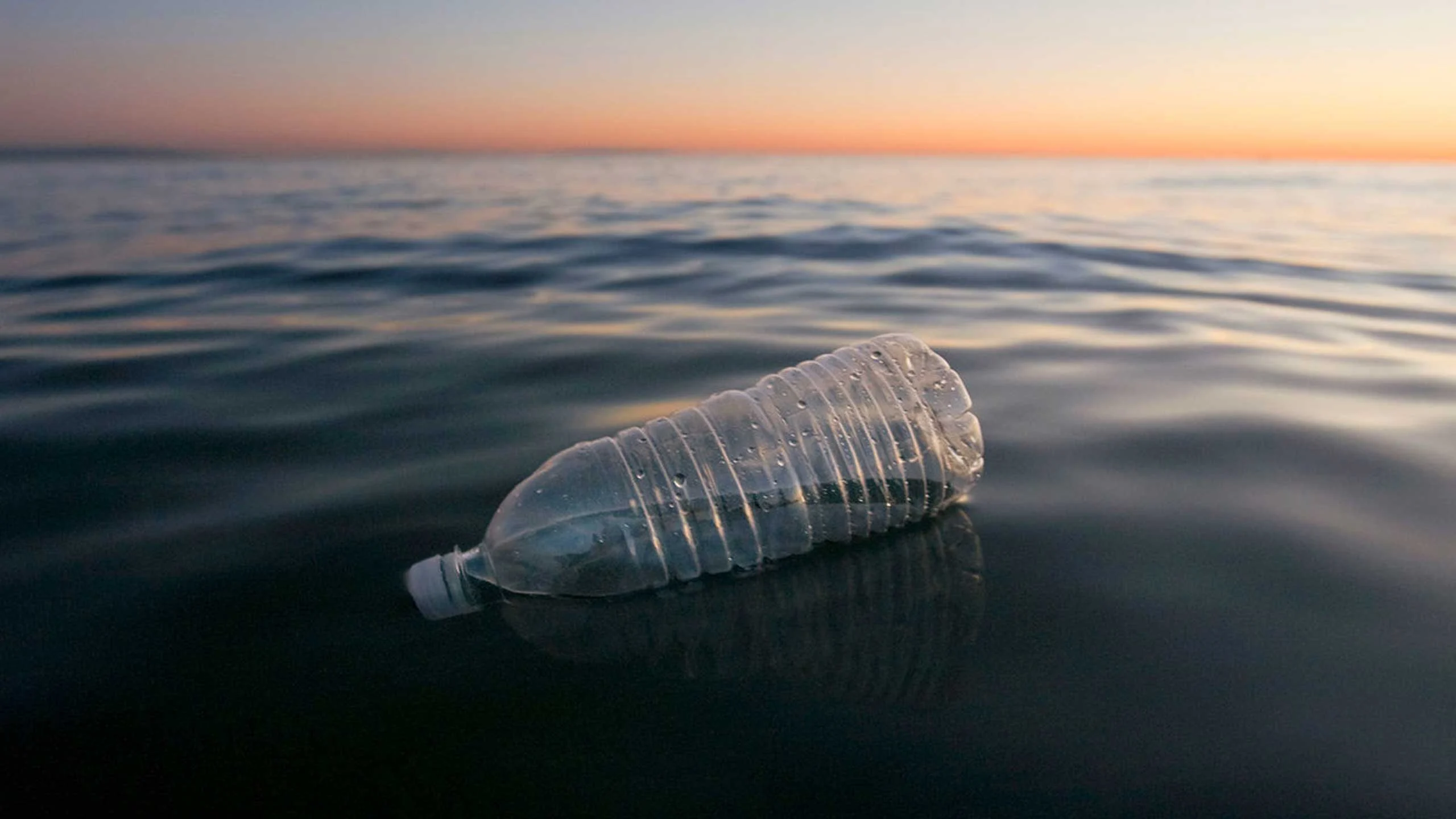 Coca Cola recicló plástico del mar para hacer botellas