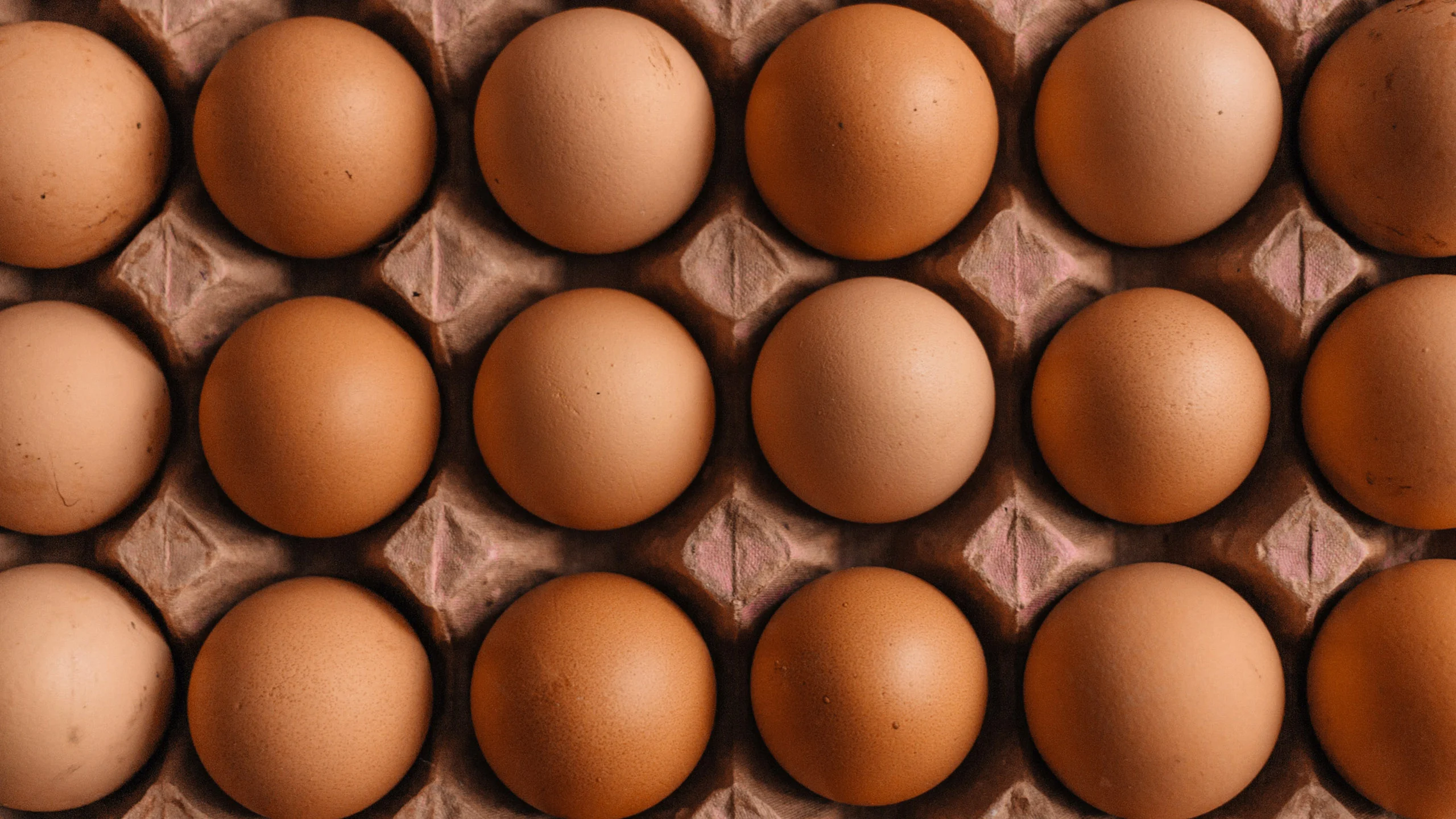 El huevo ha subido más de 12 pesos durante el sexenio de AMLO