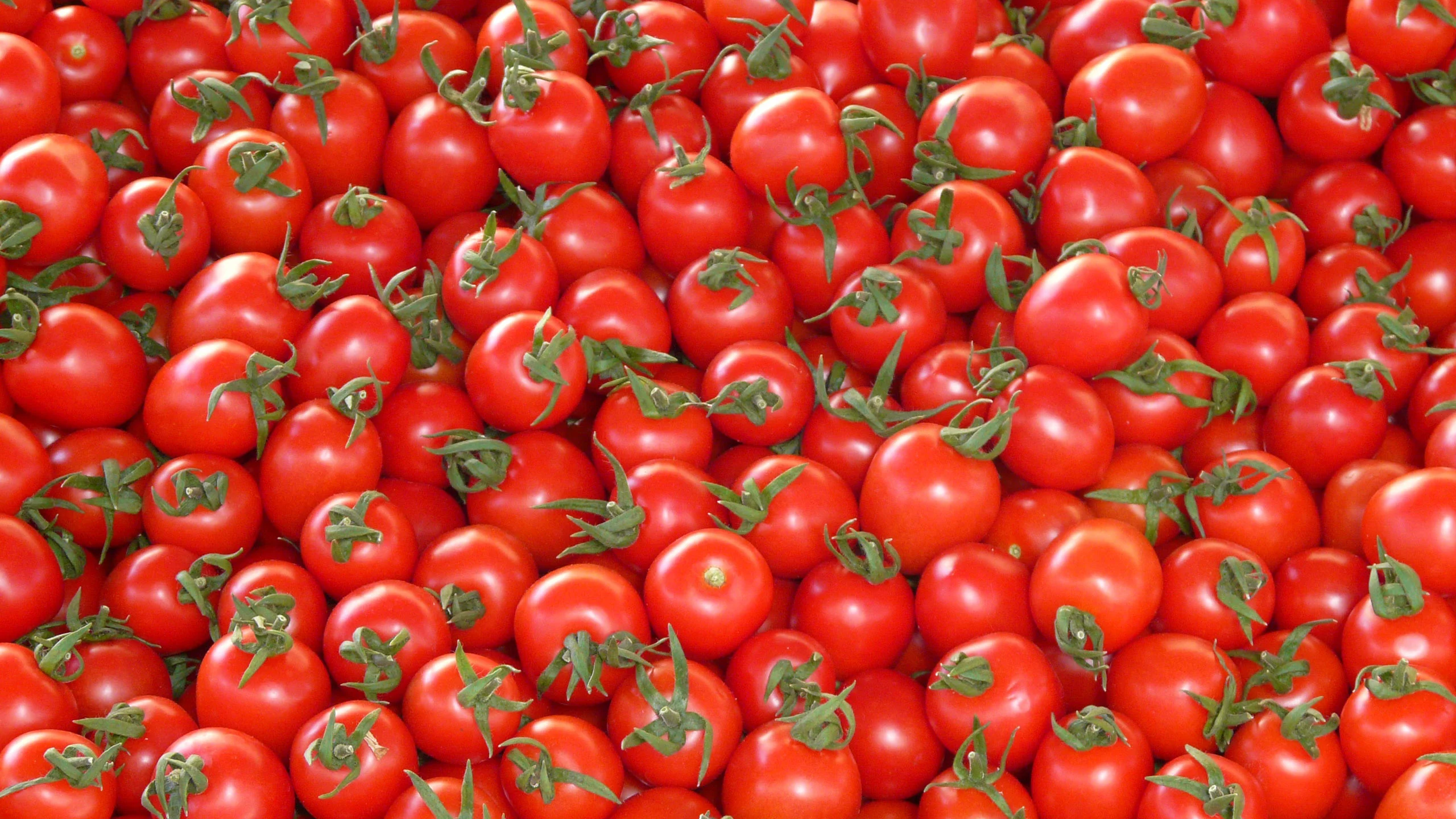 Estas son las marcas de puré de tomate más dañinas