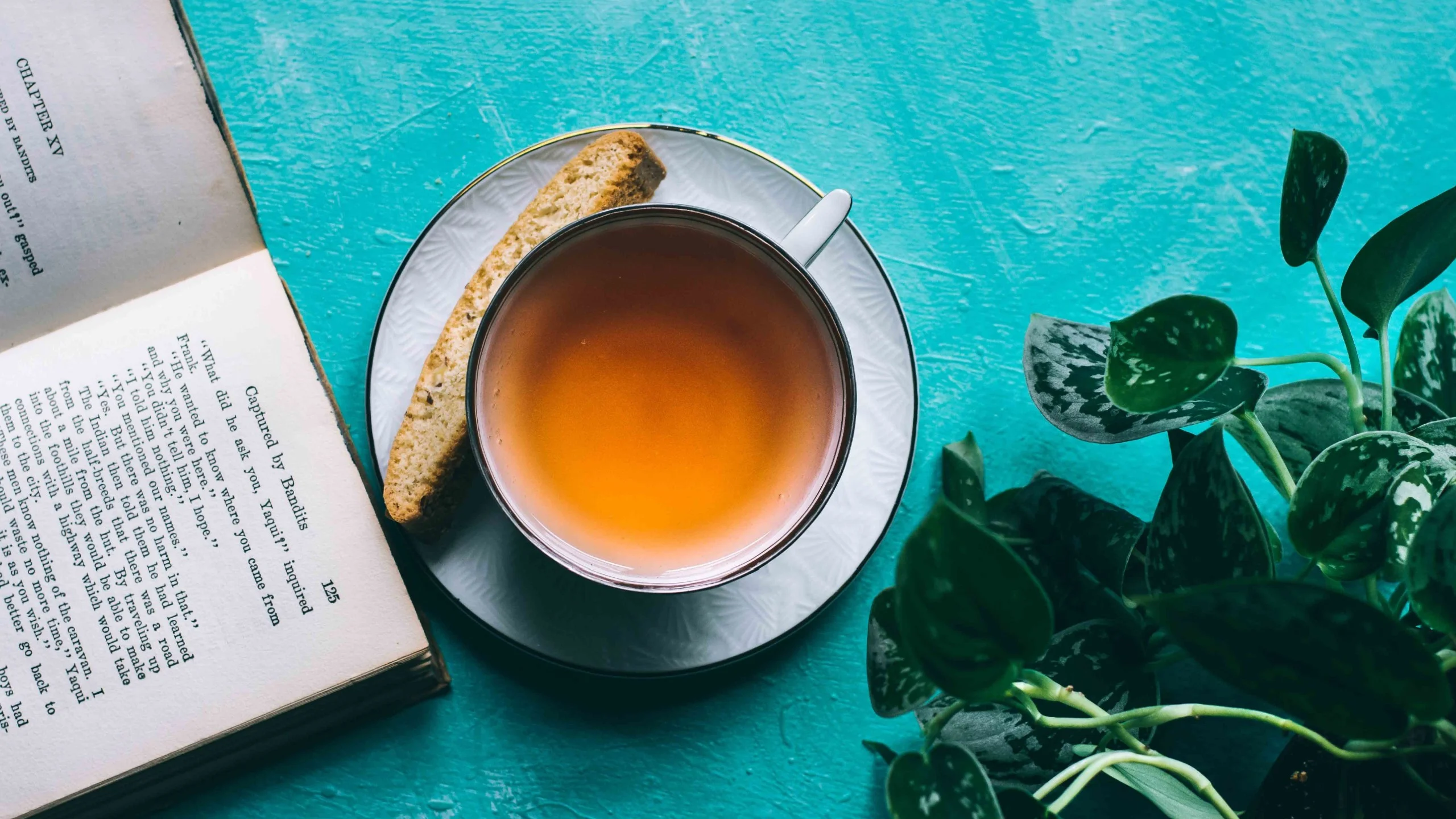 Una taza de té verde al día aporta a tu bienestar físico y mental