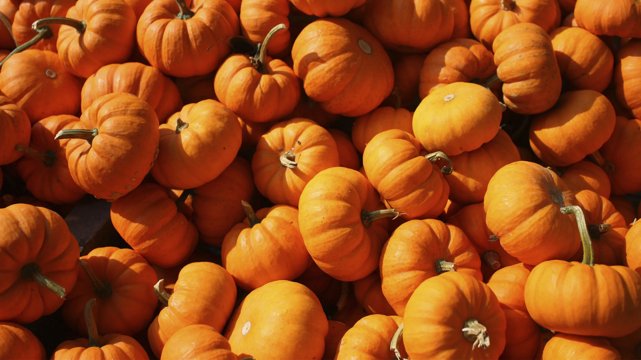 La calabaza de Halloween: vitaminas y recetas de esta reina del otoño