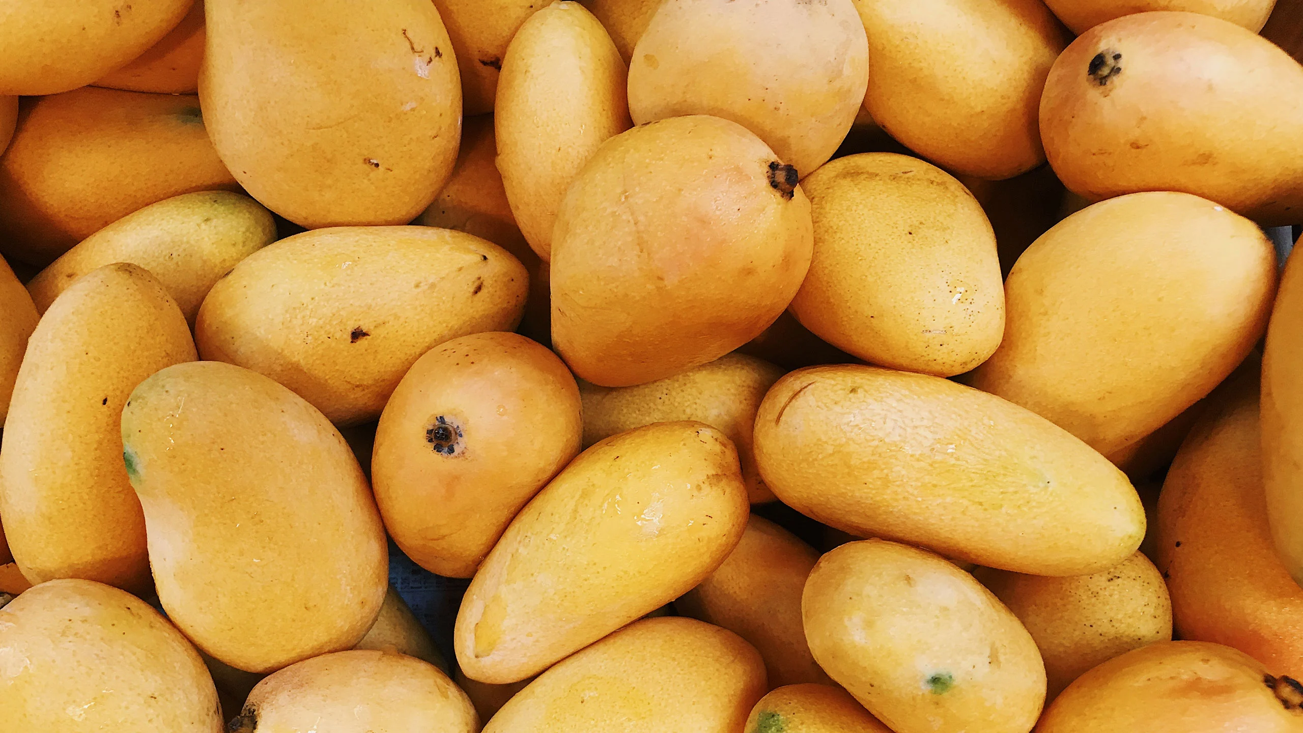 Comienza la temporada de mango conociendo sus beneficios y algunas recetas