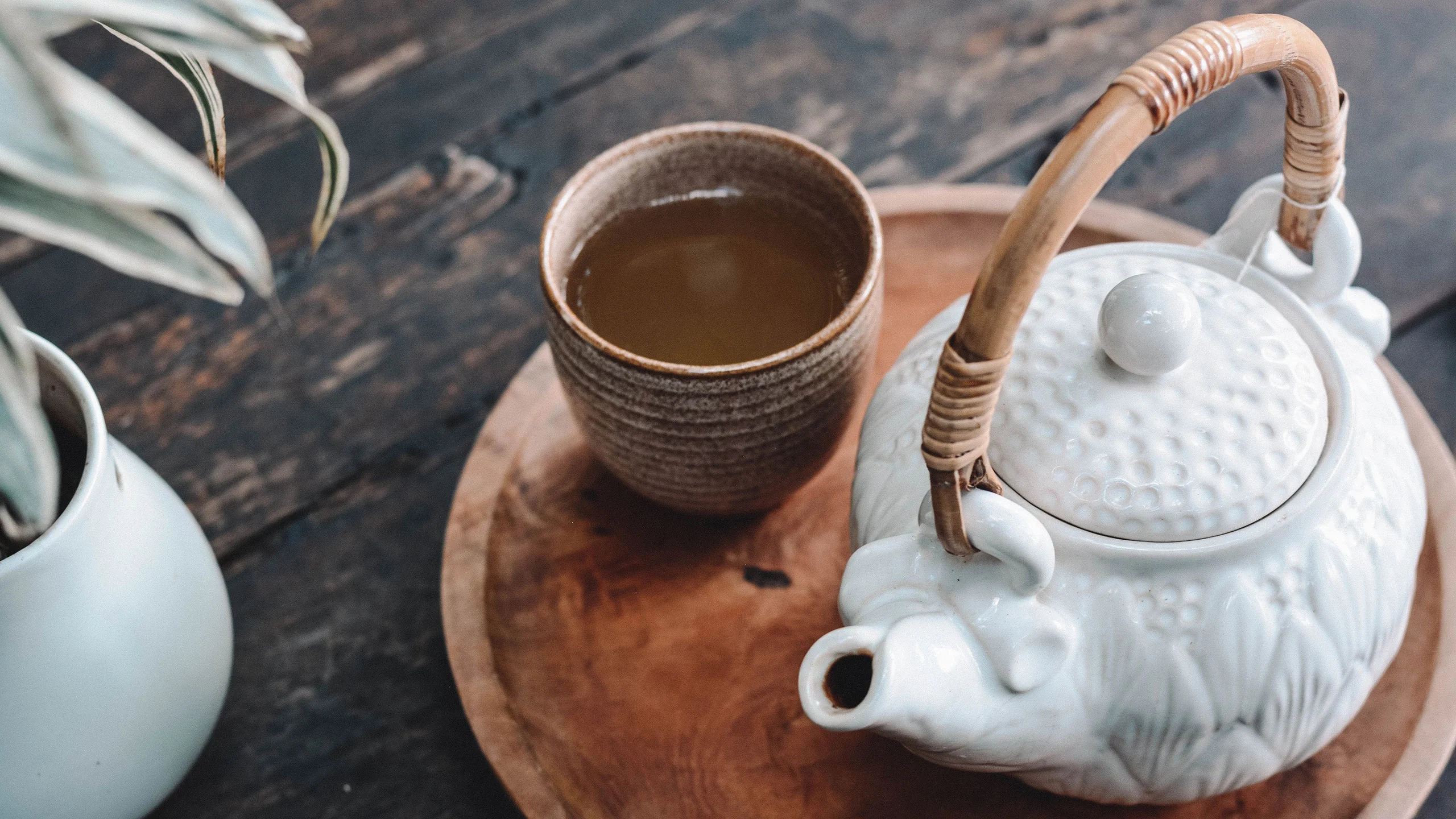¿Qué es el té de hoja santa y para qué sirve?