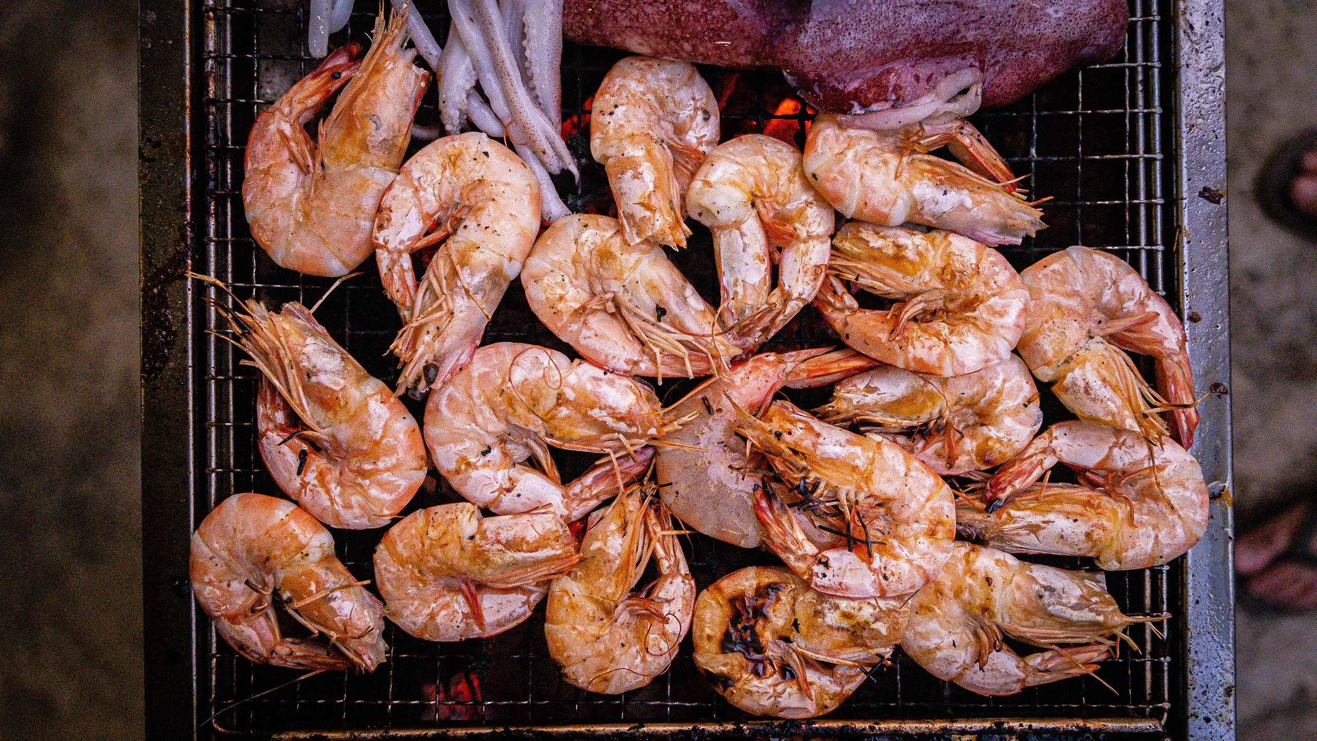 México no podrá exportar camarón a Estados Unidos por malas prácticas de pesca
