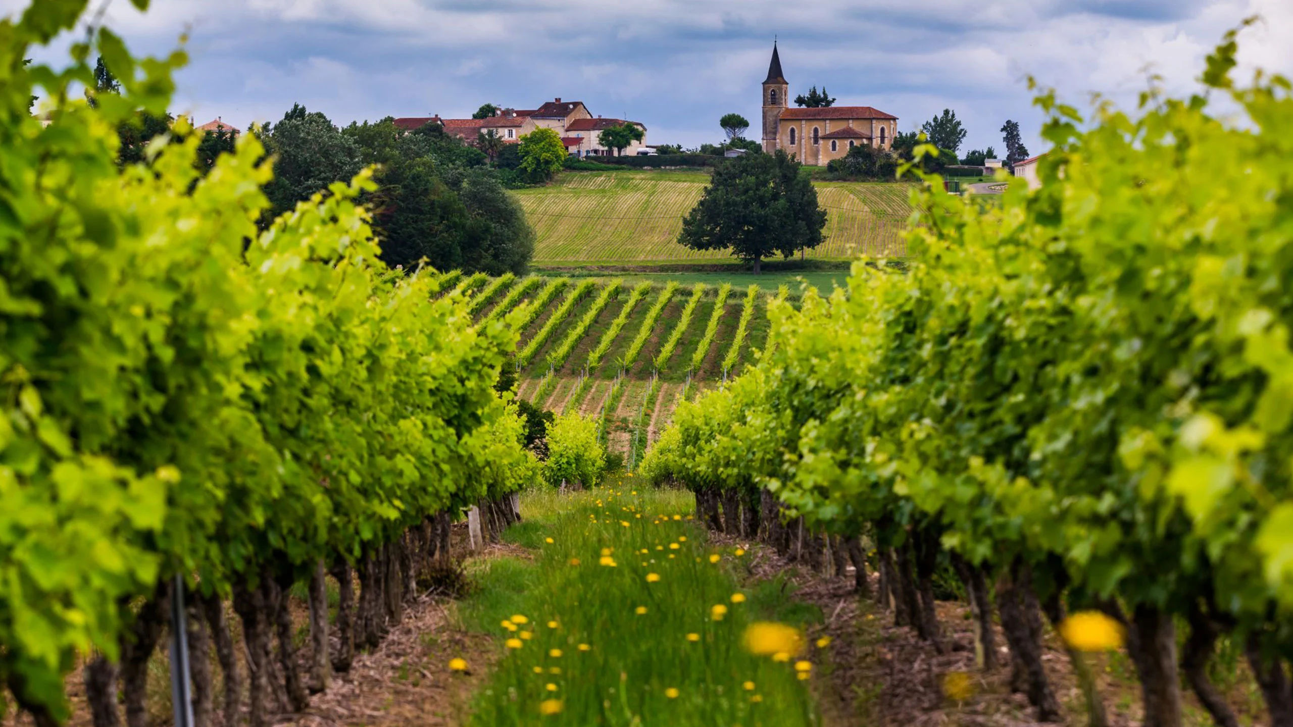 ¿Qué ciudad de Francia será la próxima Capital Mundial del Vino?