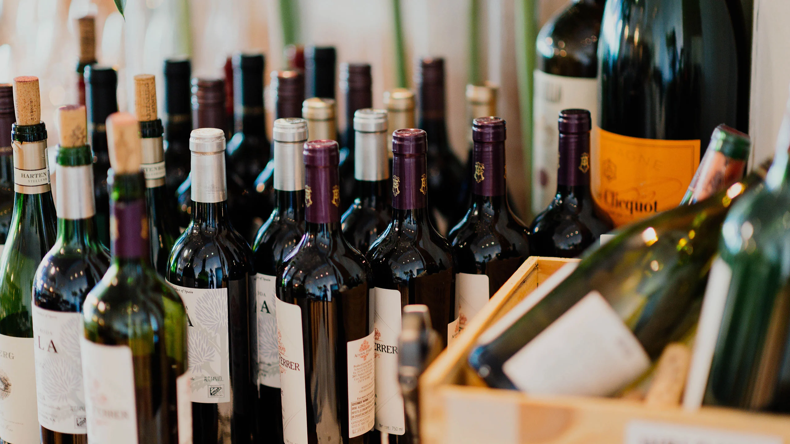 La Castellana reúne más de 500 etiquetas de vino para los sibaritas