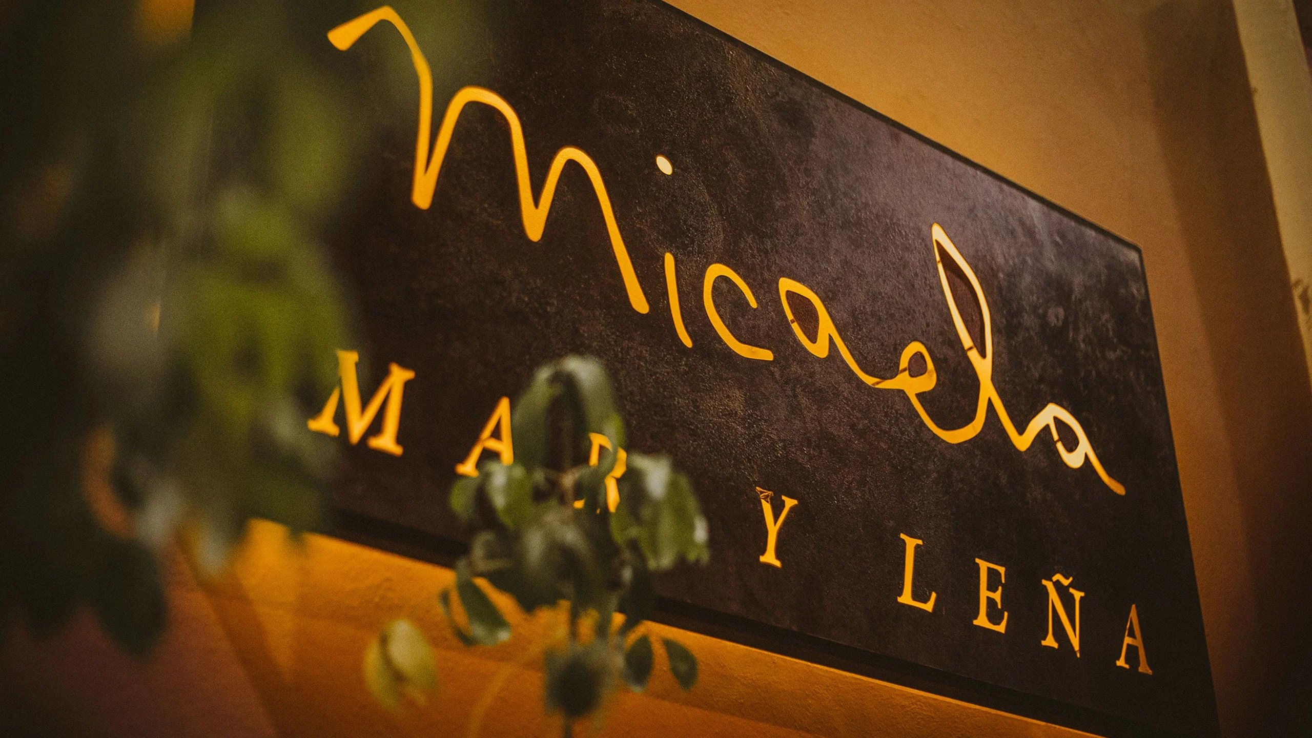 Micaela Mar y Leña: un restaurante que debes visitar en Mérida