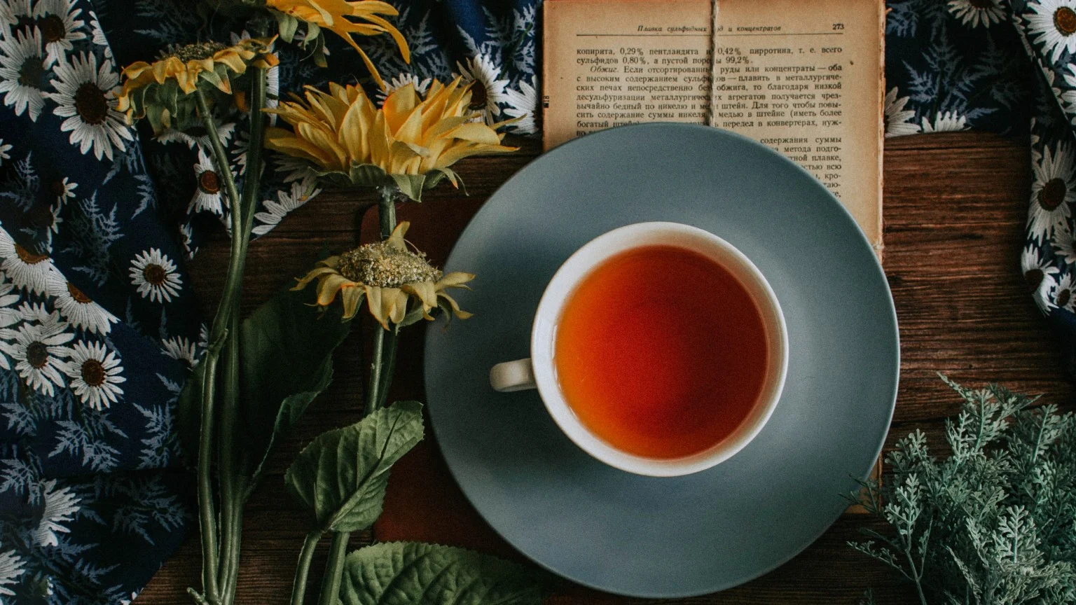 9 beneficios del té de ajenjo