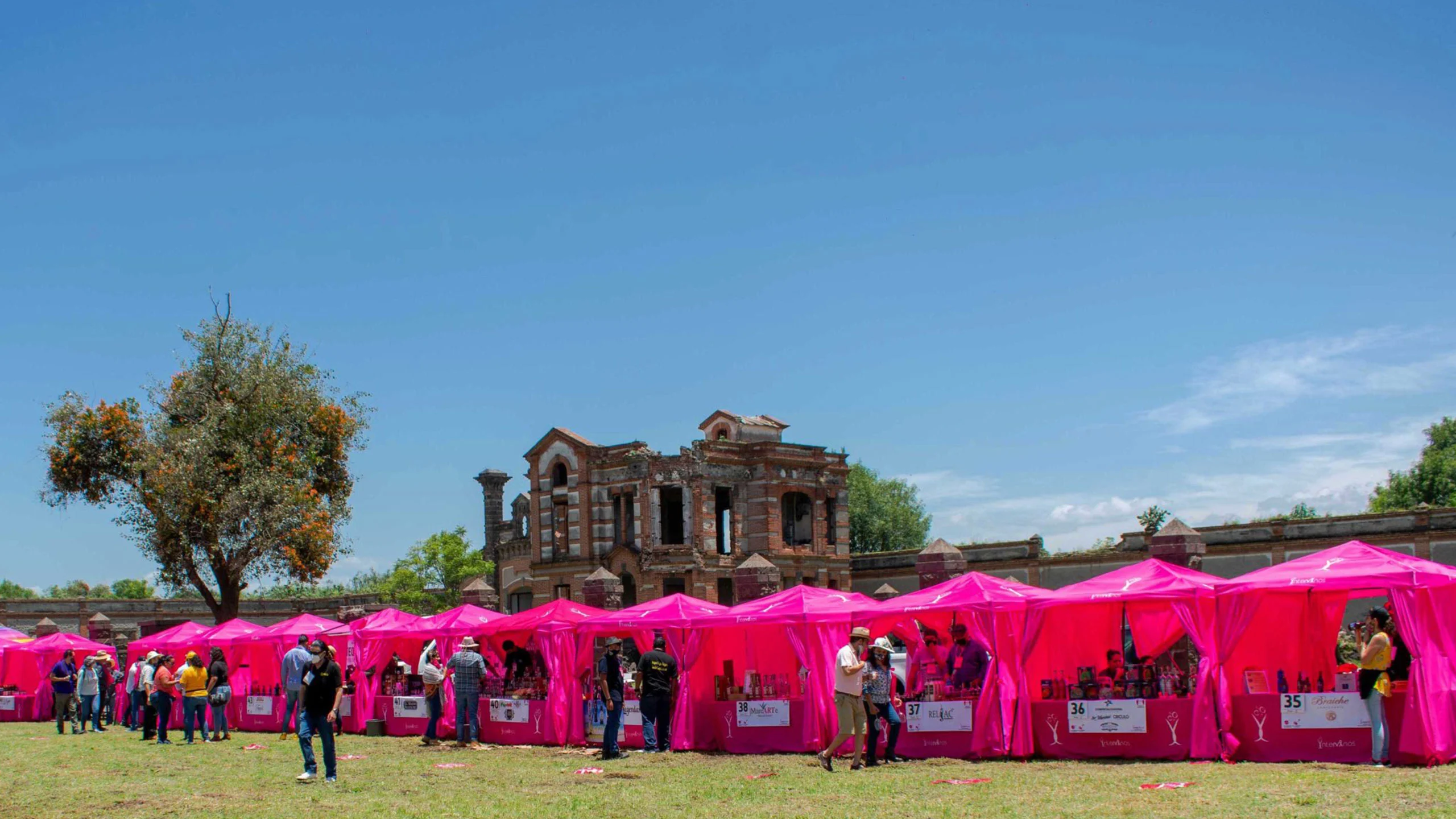 Vive la experiencia del Festival Intervinos en Tlaxcala