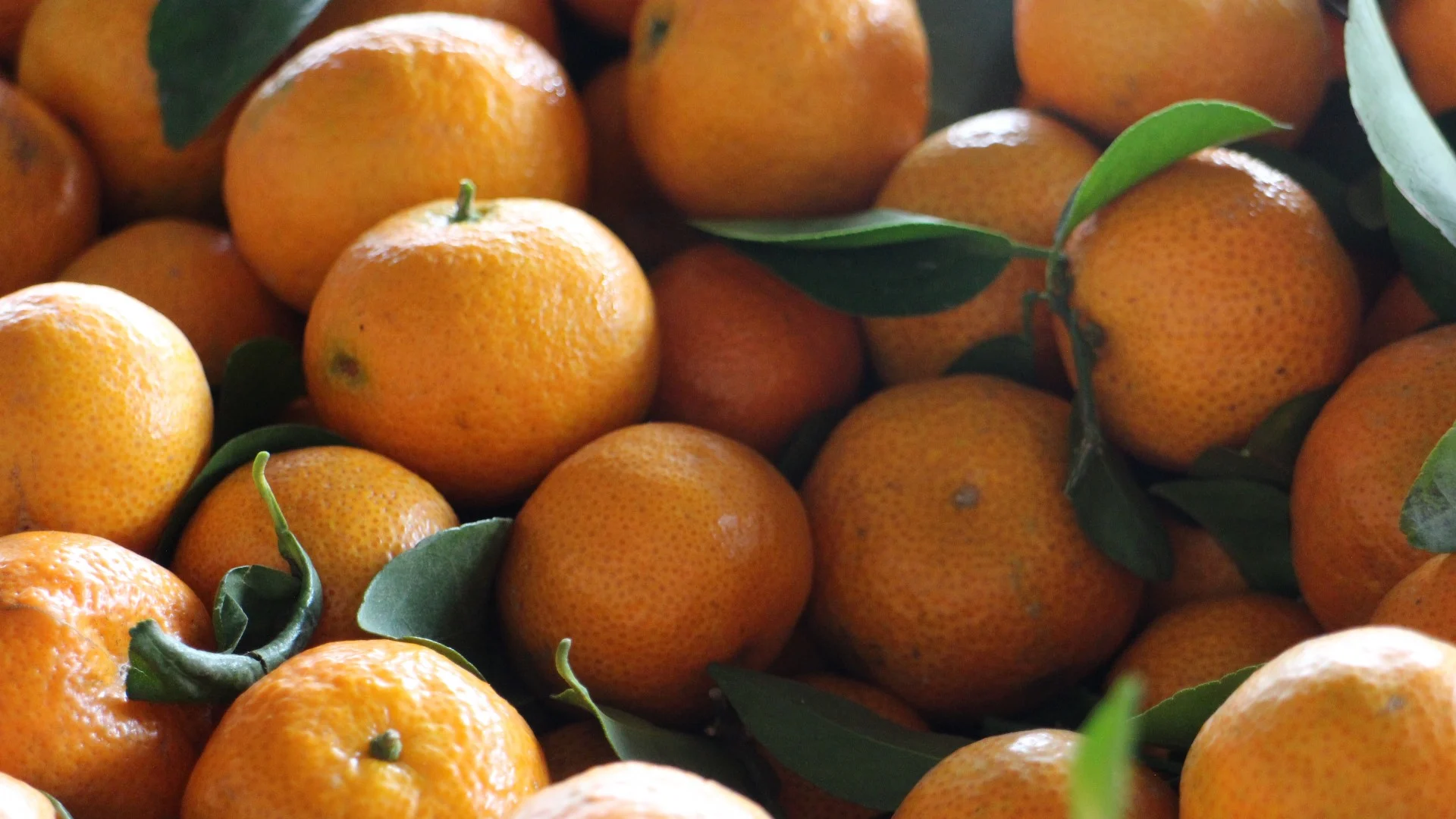 10 beneficios del té de cáscara de mandarina para tu salud