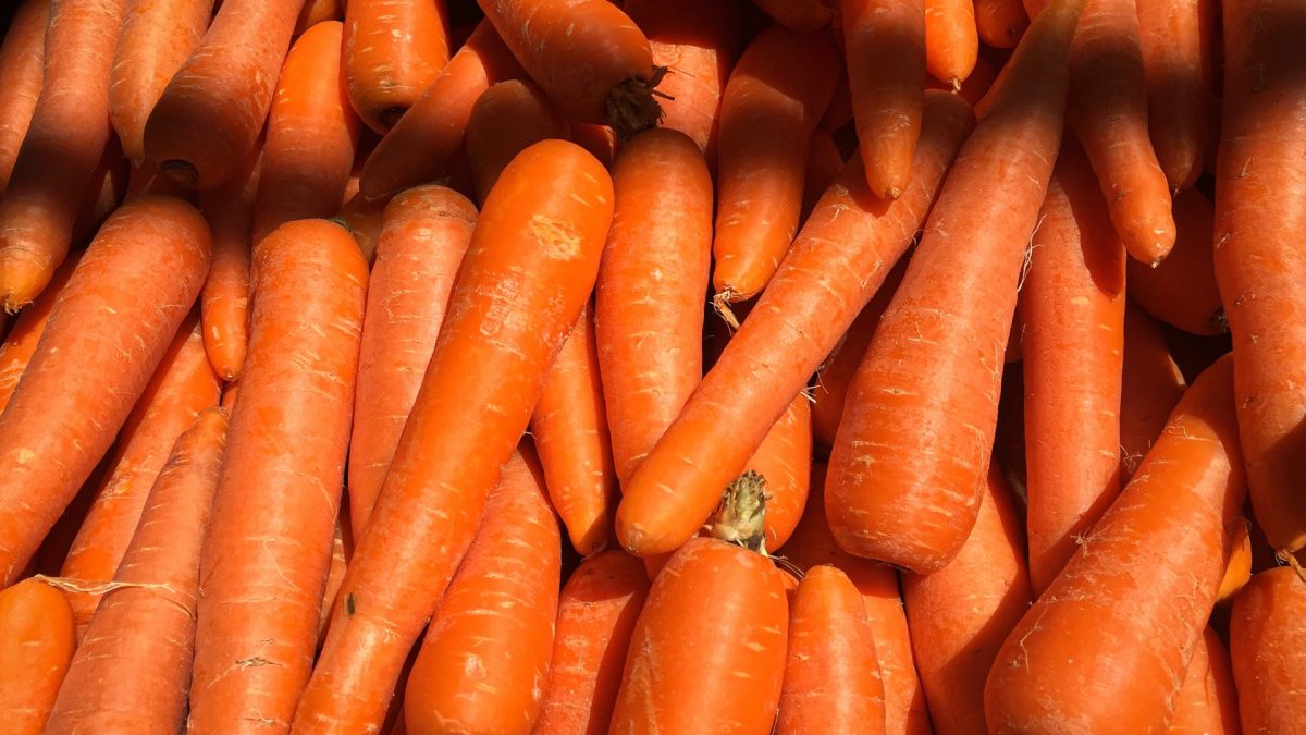 zanahorias-alimentos-para-cicatrizar