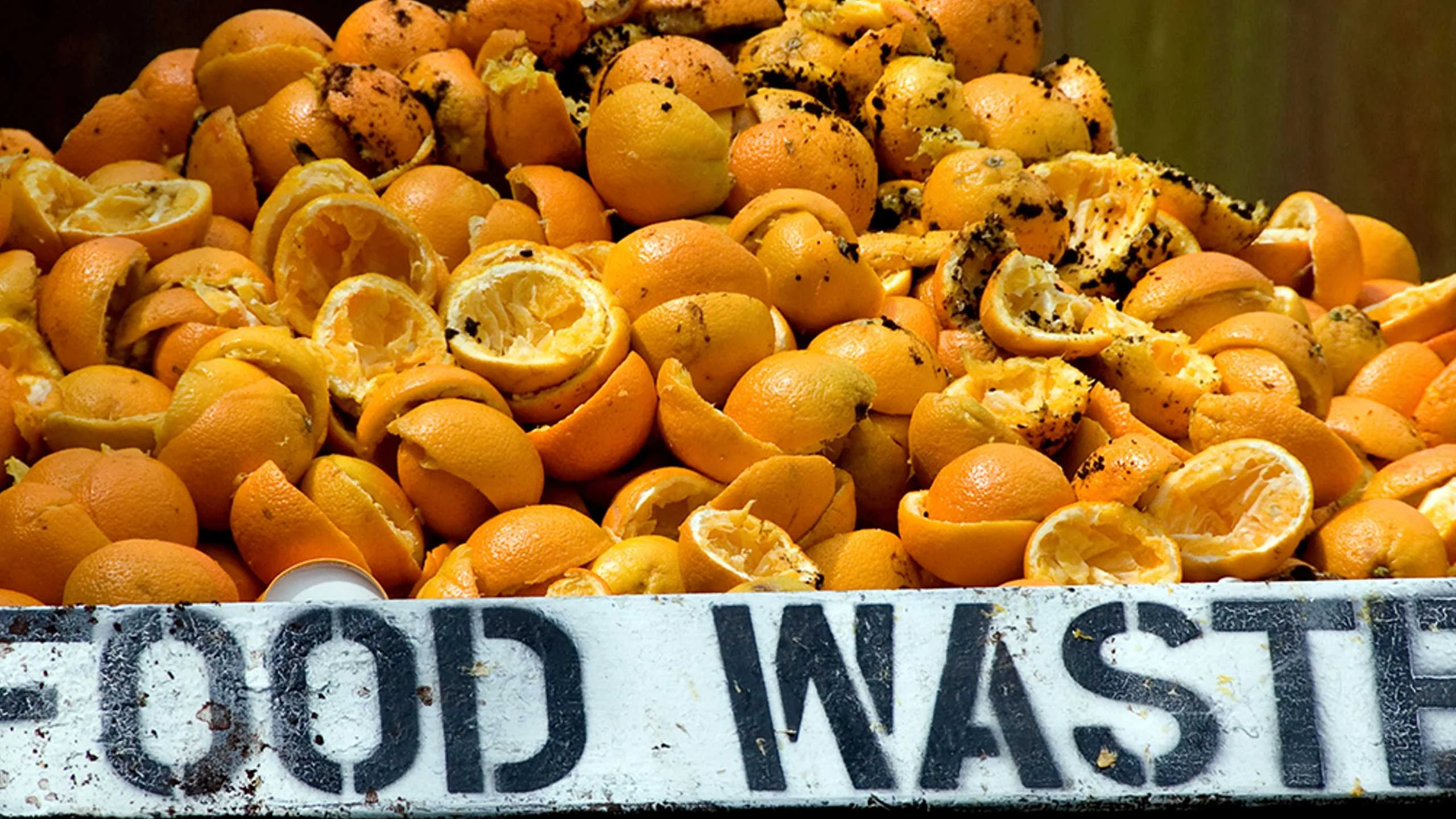 Este proyecto ha descubierto cómo convertir nuestro desperdicio masivo de alimentos en energía utilizable