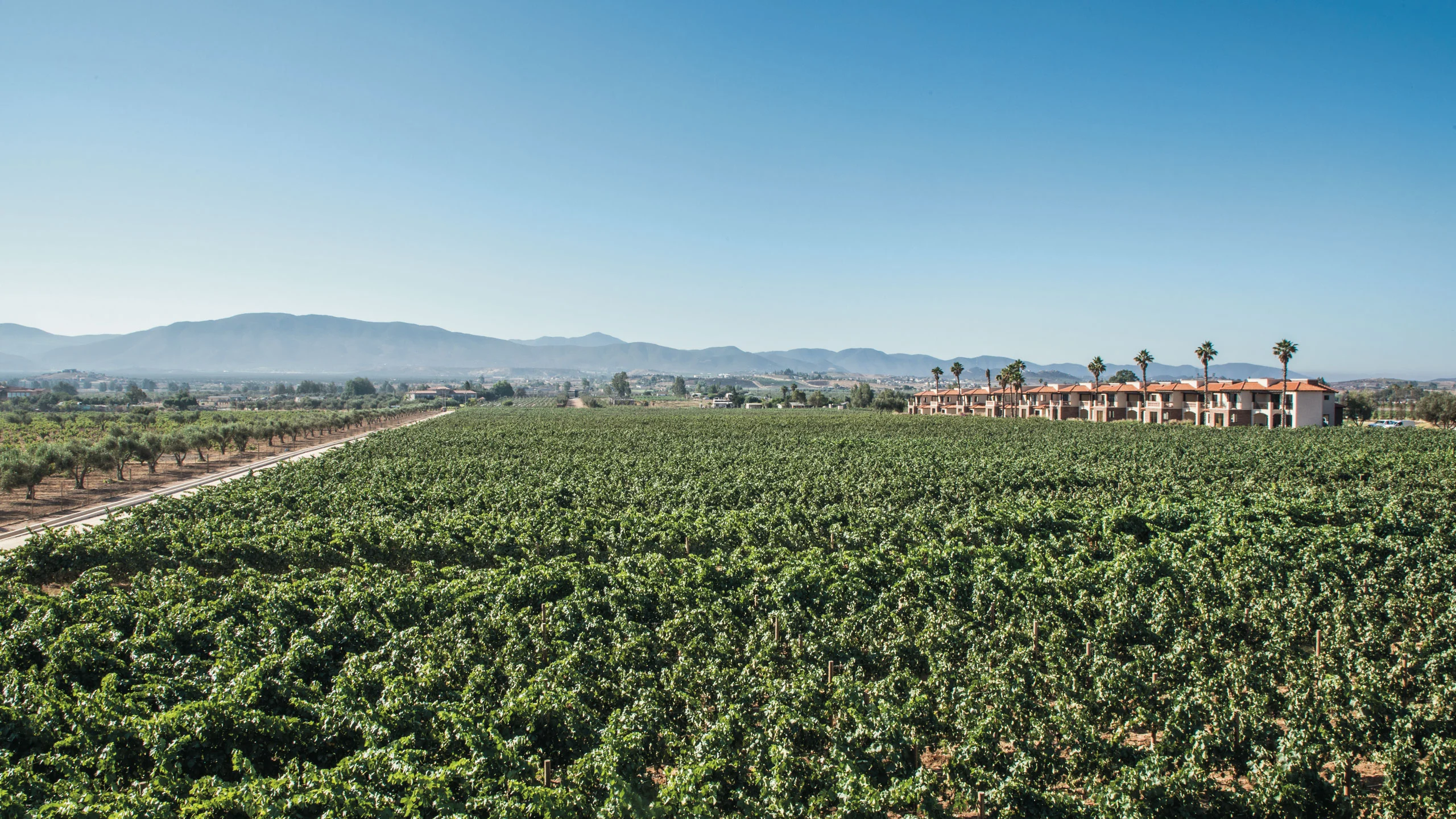El Cielo: una experiencia vinícola y de hospitalidad en Valle de Guadalupe