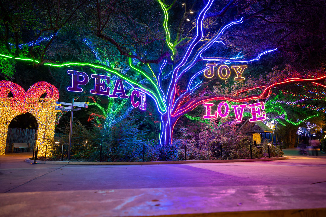 El zoológico se llena de luces navideñas en diciembre en Houston