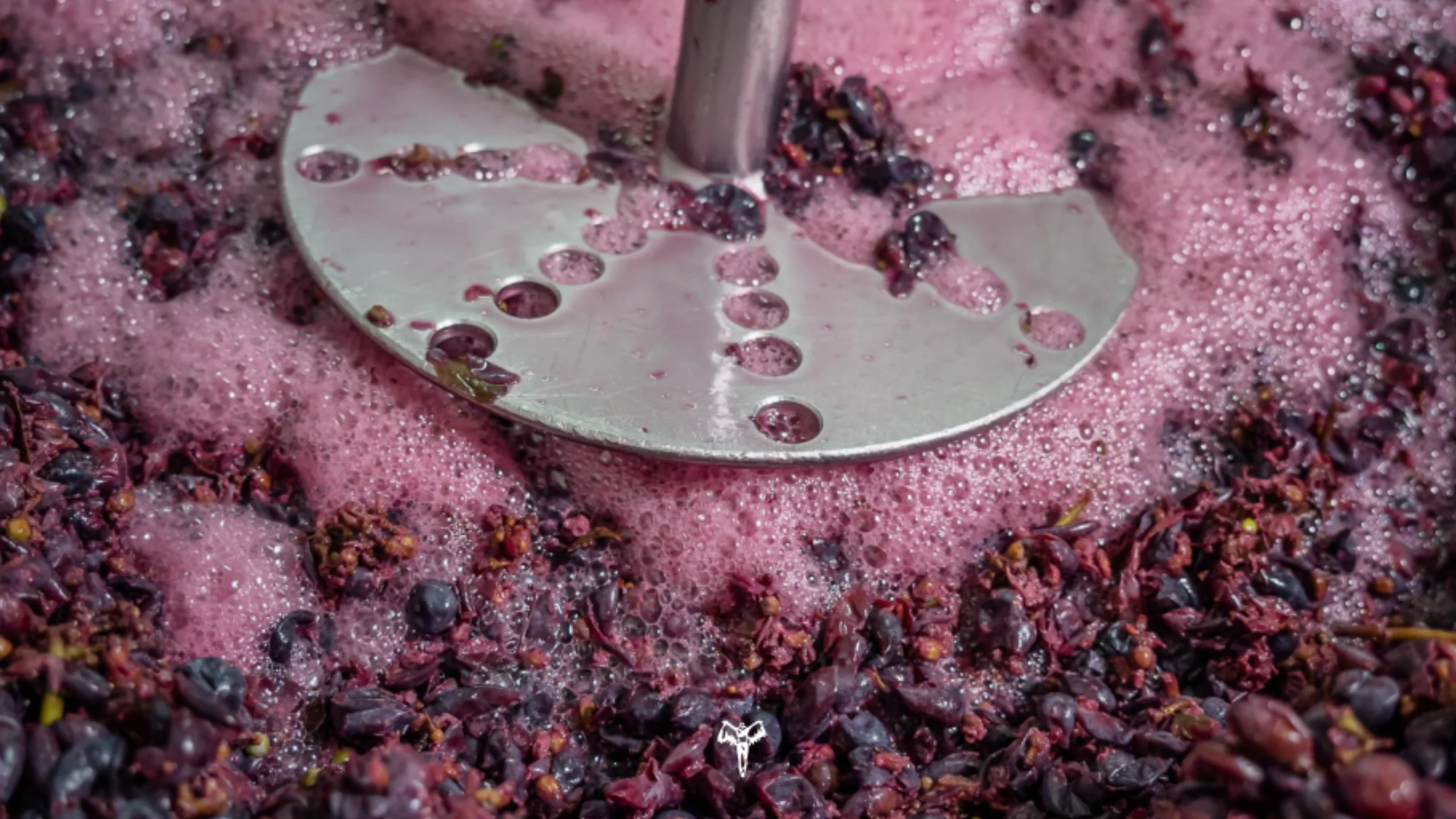 Bodegas Ícaro, tradición del vino inspirada por el olfato
