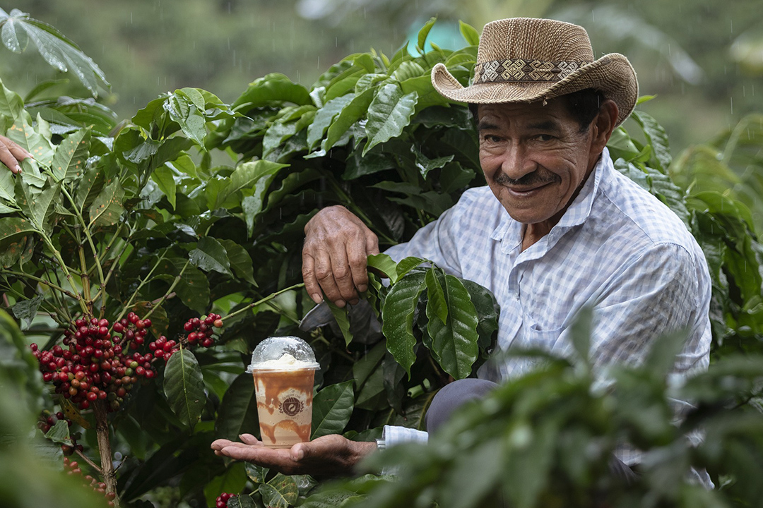 ¿Cuál es la diferencia entre el café chiapaneco y el café colombiano?