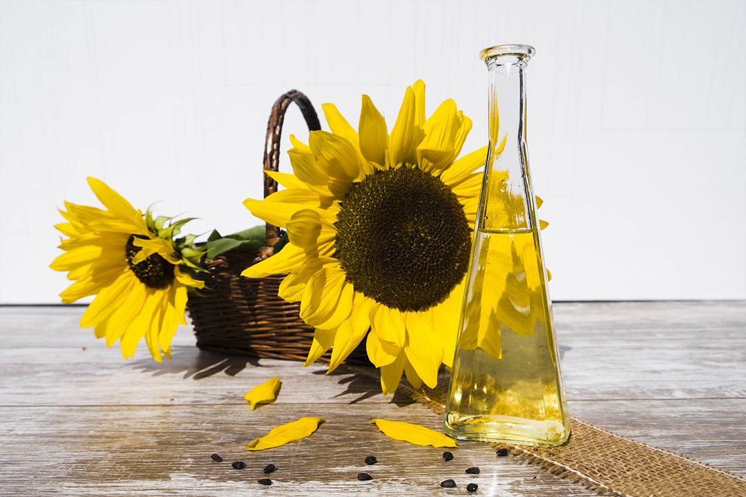 Qué es mejor para la salud: ¿aceite de oliva o aceite vegetal?
