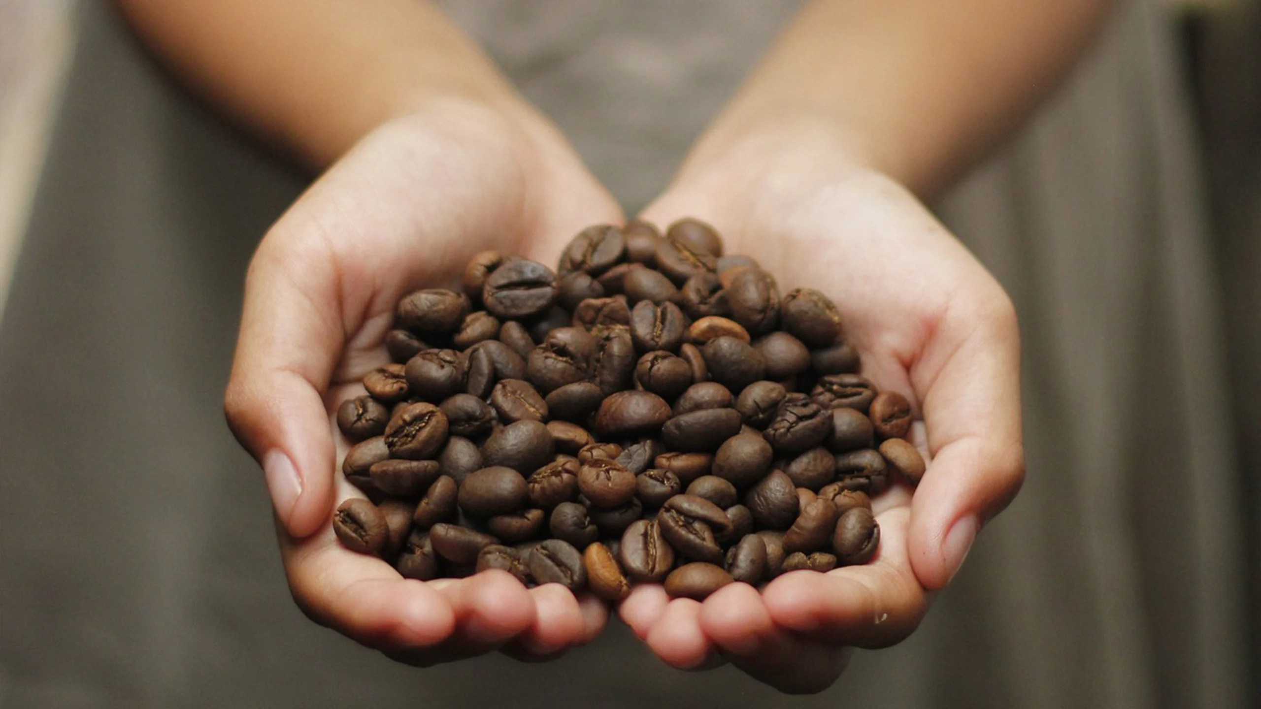 Cómo preparar el café en grano correctamente
