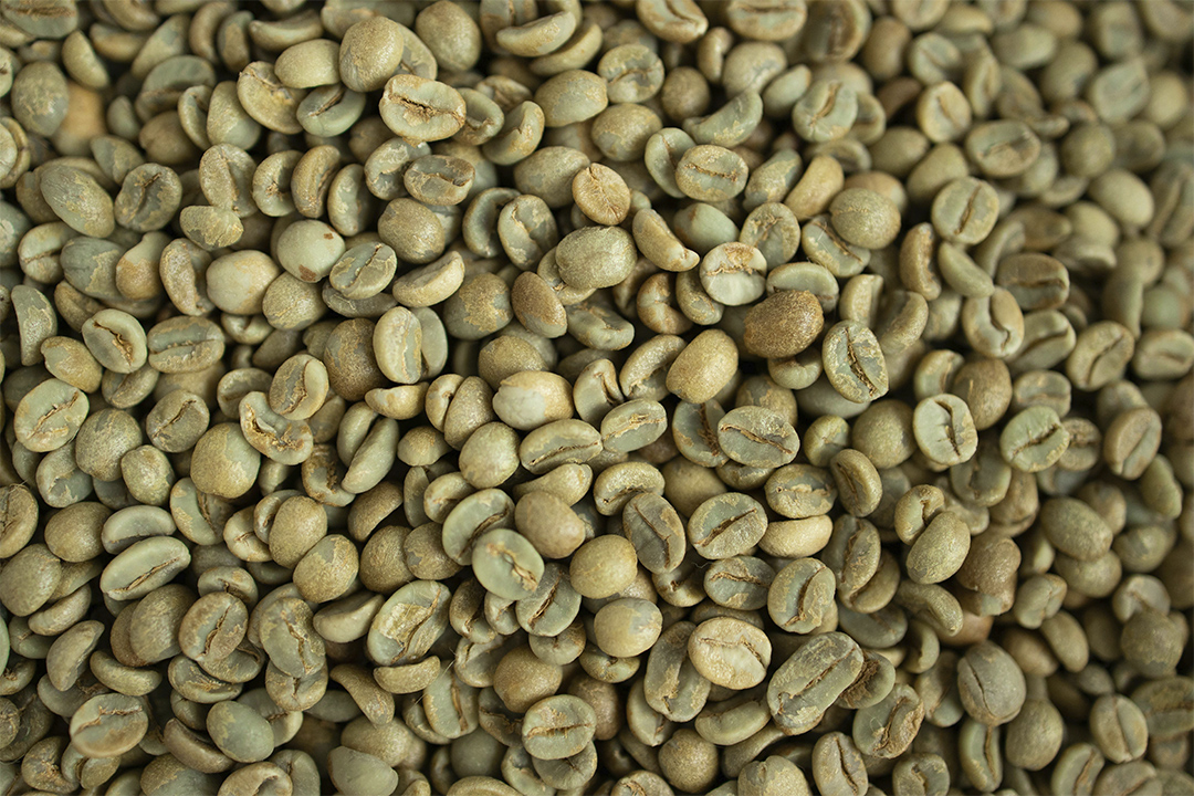 Qué es el café verde y cuáles son sus beneficios para la salud