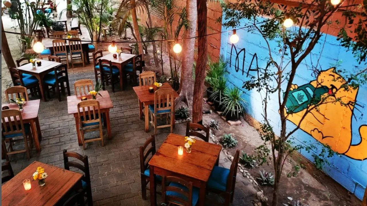 Los mejores restaurantes tailandeses en México